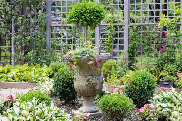 Cost of Topiary Pruning in San Ramon