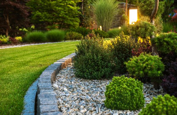 Cost of Bush Relocation in San Ramon