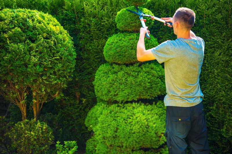 Healthy, Trimmed Shrubs