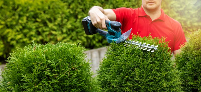 Landscaper Shaping a Bush