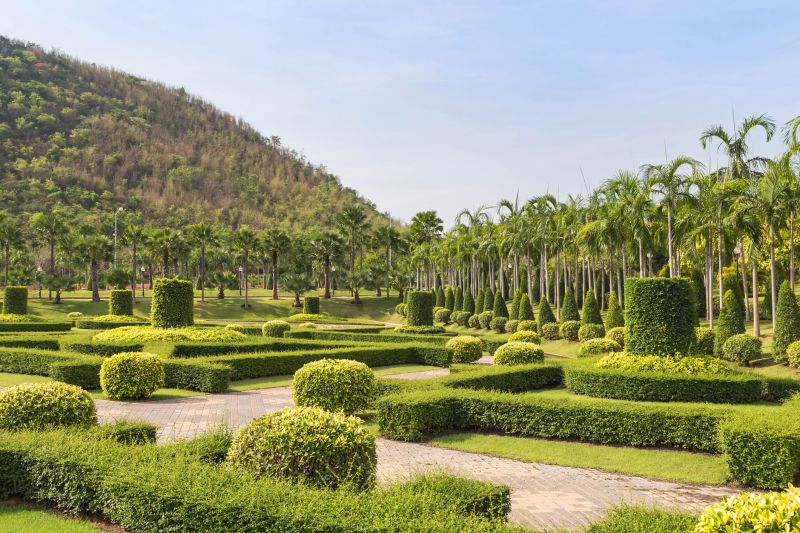Trimmed Shrubs in Front Yard