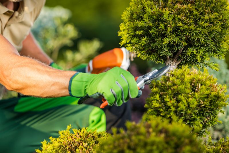 Year-round shrub care